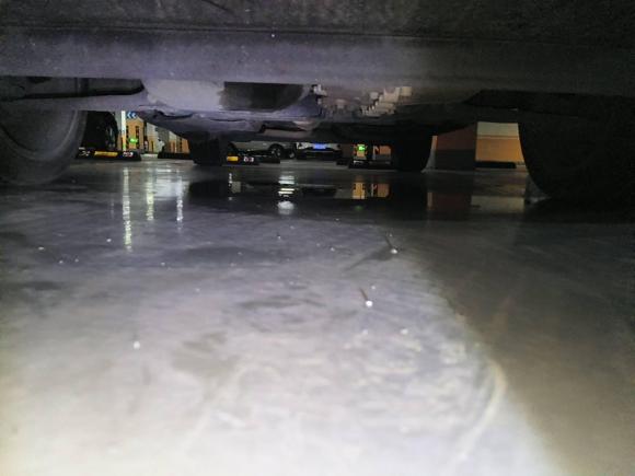 [金华·浙G] 二手福特翼搏2018款 改款 1.5L 自动铂翼型