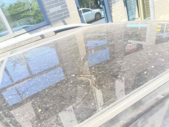 [义乌·浙G] 二手广汽传祺传祺GS82017款 320T 两驱豪华智联版（七座）