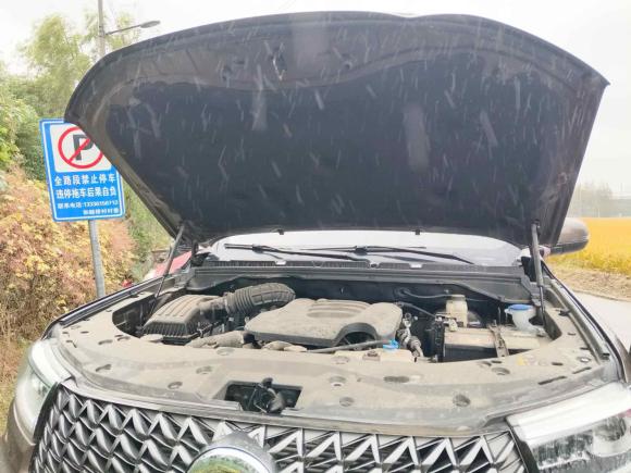 [杭州·川X] 二手长城炮2023款 2.0T商用版自动柴油两驱精英型长箱GW4D20M