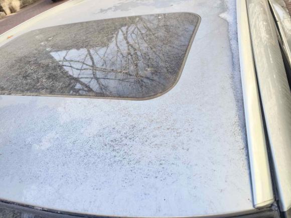 [青岛·鲁U] 二手马自达马自达CX-42020款 2.0L 自动两驱蓝天品位版