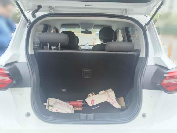 [武汉·鄂A] 二手零跑汽车零跑T032020款 400标准版