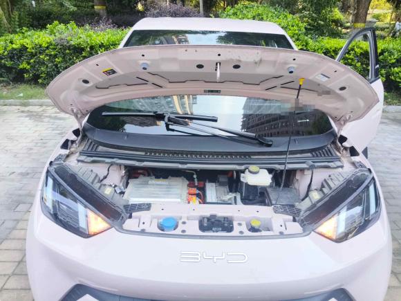 [合肥·皖A] 二手比亚迪海鸥2023款 飞翔版