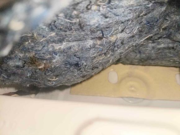 [武汉·鄂A] 二手大众速腾2015款 1.6L 自动舒适型