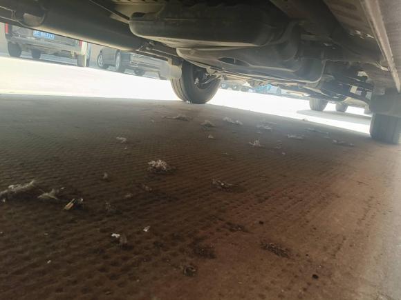 [嘉兴·浙F] 二手上汽大通MAXUS新途V802019款 2.5T经典款AMT傲运通改款短轴中顶5/6座