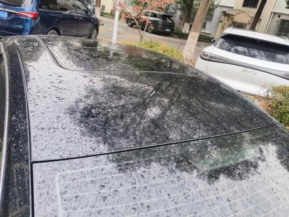 [上海·苏A] 二手大众迈腾2018款 330TSI DSG 豪华型