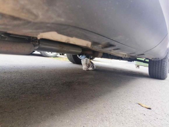 [青岛·鲁U] 二手奇瑞瑞虎72020款 7i 1.5T 自动智领版