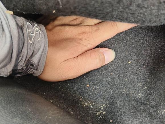 [常州·苏D] 二手奇瑞艾瑞泽52018款 1.5L 手动致敬青春版