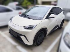 [上海·沪B] 比亚迪海鸥2025款 305km 活力版