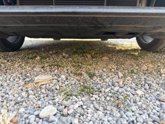 [杭州·皖D] 二手奥迪奥迪A32023款 改款 Sportback 35 TFSI 时尚运动型