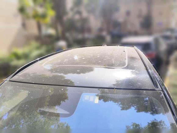 [上海·沪A] 二手蔚来蔚来ES62019款 420KM 运动版