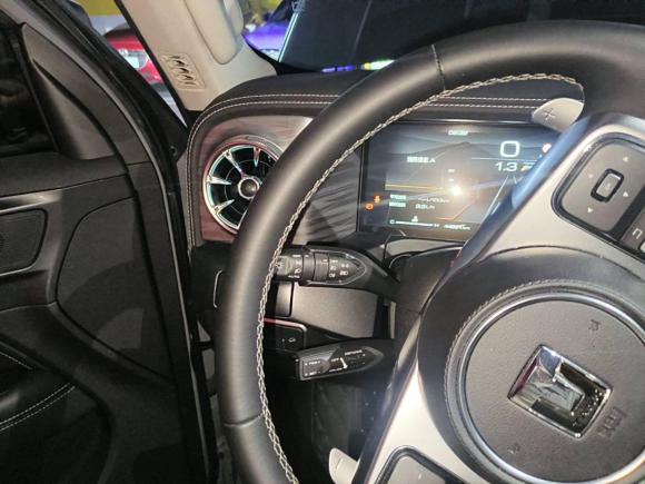 [上海·沪B] 二手坦克坦克3002022款 2.0T 坦克游侠