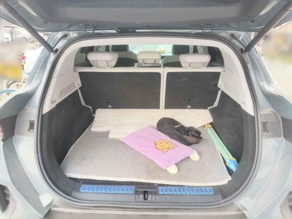 [成都·川A] 二手ARCFOX极狐极狐 阿尔法T2023款 688E+ 森林版 160kW