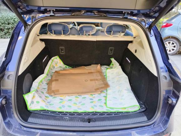 [武汉·鄂A] 二手岚图汽车岚图FREE2021款 四驱纯电首发纪念版专属豪华套装