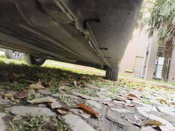 [上海·沪D] 二手日产轩逸2019款 经典 1.6XE+ 手动智联领先版