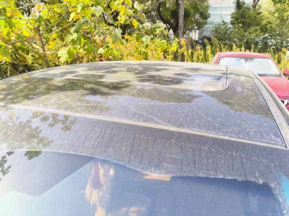 [苏州·苏U] 二手北京汽车北京U72019款 1.5T CVT新智版 国VI