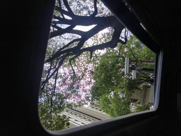 [上海·沪A] 二手宝马宝马1系2012款 116i 领先型