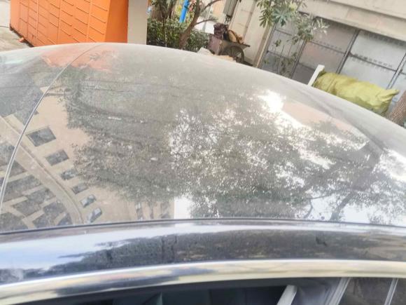 [上海·沪A] 二手特斯拉Model 32019款 标准续航后驱升级版