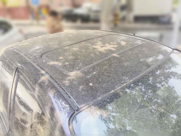 [青岛·鲁U] 二手马自达马自达62013款 2.0L 自动时尚型