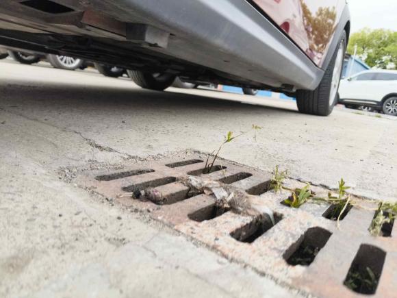 [上海·浙F] 二手MINIMINI CLUBMAN2007款 1.6L COOPER Fun