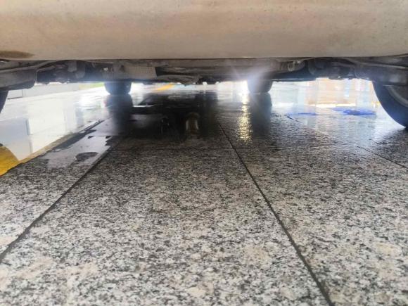 [宁波·浙B] 二手沃尔沃沃尔沃V402015款 1.6T 智雅版