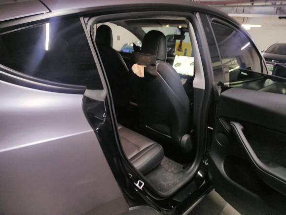 [上海·沪A] 二手特斯拉Model Y2021款 标准续航后驱版