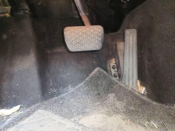 [嘉兴·浙F] 二手奔驰奔驰E级2015款 改款 E 260 L 运动型