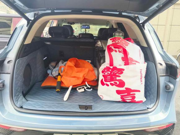 [上海·沪A] 二手岚图汽车岚图FREE2021款 四驱标准增程专属豪华套装