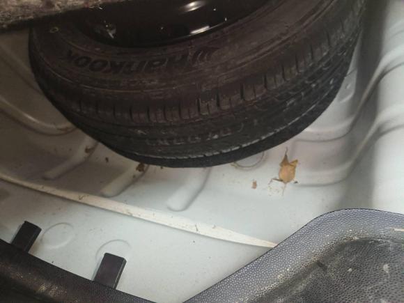 [广州·粤B] 二手福特嘉年华2013款 三厢 1.5L 自动时尚型