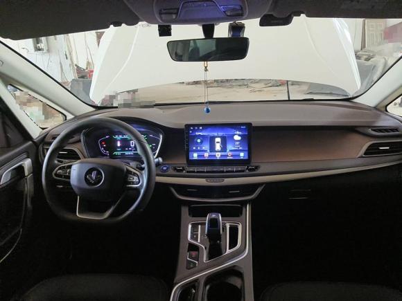 [青岛·鲁B] 二手睿蓝汽车枫叶80v2021款 易行版 三元锂