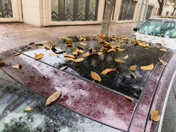 [西安·陕U] 二手捷豹捷豹XFL2018款 XFL 2.0T 250PS 尊享版