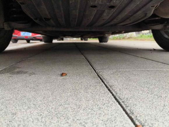 [佛山·粤X] 二手本田享域2021款 锐·混动 1.5L 净享版