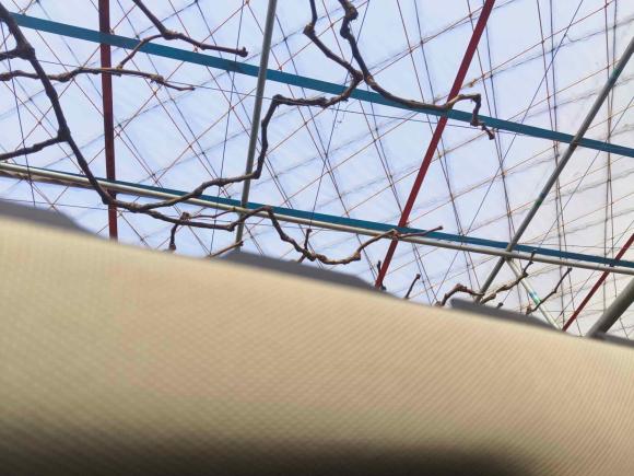 [宁波·浙B] 二手奔驰奔驰CLS2018款 CLS 300 动感型