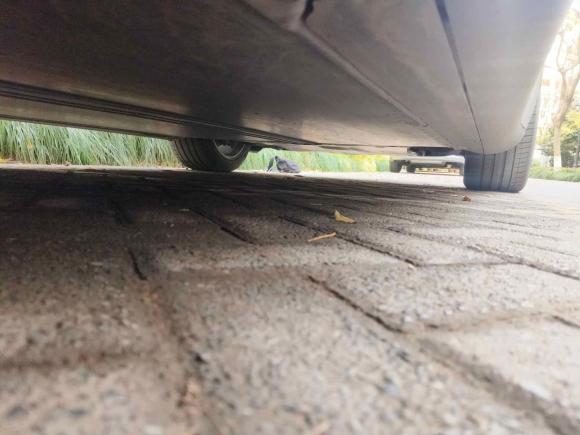 [杭州·浙D] 二手特斯拉Model Y2021款 改款二 长续航全轮驱动版