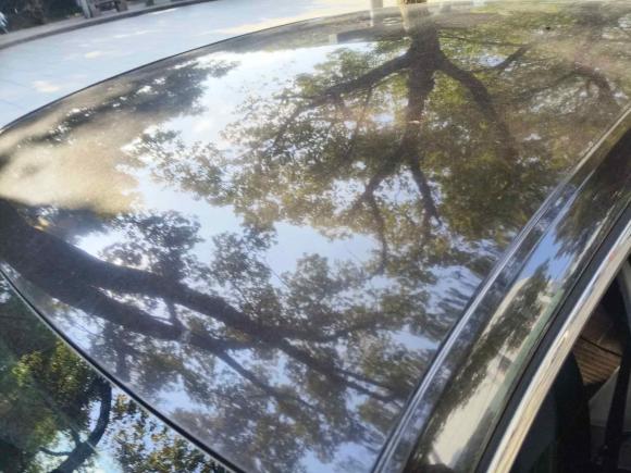 [宁波·浙B] 二手斯柯达明锐2017款 1.6L 自动创行版