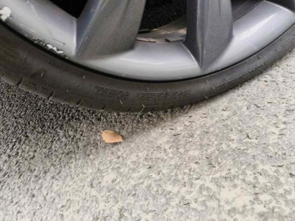 [苏州·苏E] 二手特斯拉Model S2015款 Model S P85D