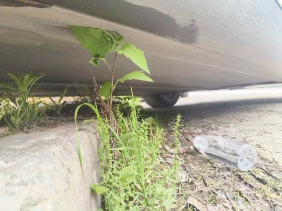 [温州·浙C] 二手特斯拉Model Y2021款 标准续航后驱版