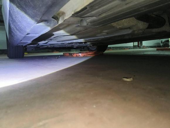 [宁波·浙B] 二手福特福克斯2012款 三厢 1.6L 自动舒适型