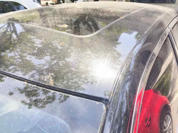 [济南·鲁A] 二手克莱斯勒克莱斯勒300C2016款 3.0L 超越版