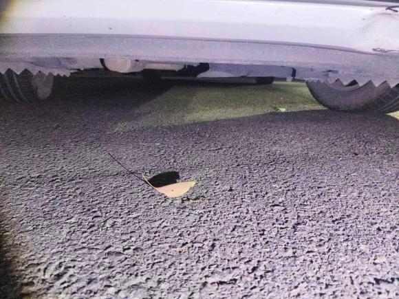 [宁波·浙B] 二手别克别克GL82017款 ES 28T 豪华型 国V