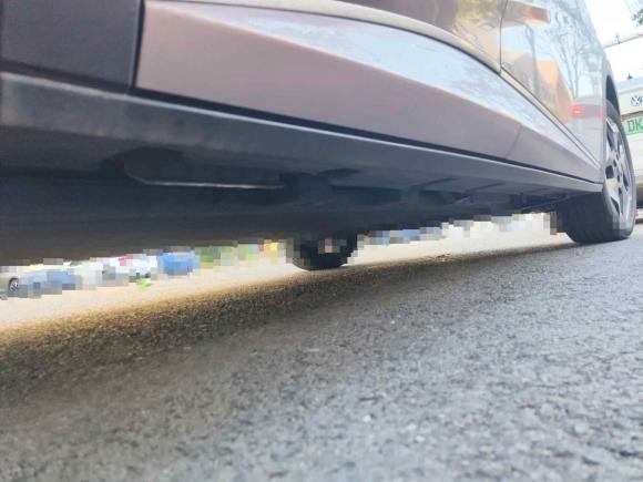 [青岛·鲁B] 二手比亚迪海豚2021款 405km 时尚版