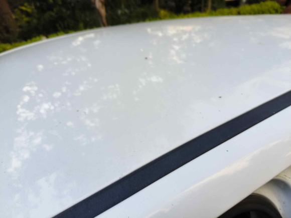 [青岛·鲁B] 二手长安奔奔EV2018款 EV260 标准型