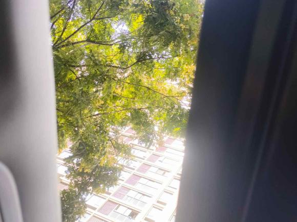 [金华·浙G] 二手大众速腾2018款 1.6L 自动舒适型