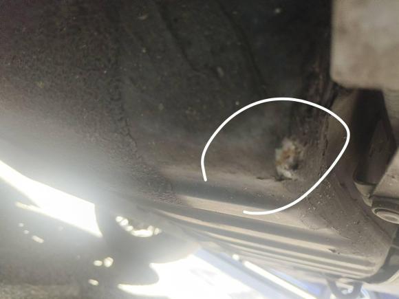 [上海·沪A] 二手本田奥德赛2019款 2.0L 锐·尊享版