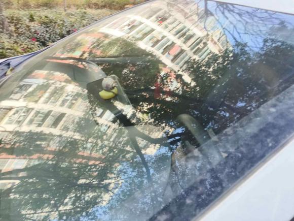 [宁波·浙B] 二手丰田YARiS L 致享2019款 1.5E CVT魅动版 国VI