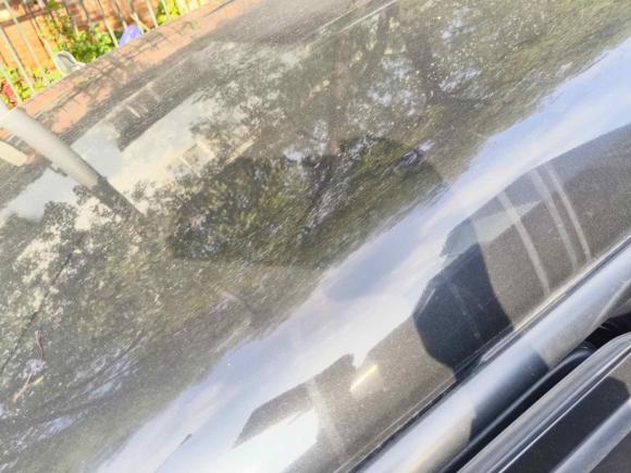 [南昌·赣A] 二手东风风行菱智2017款 M5L 1.6L 7座舒适型