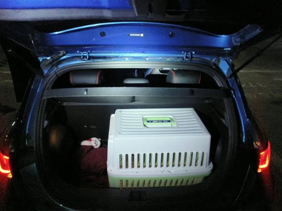 [上海·沪A] 二手比亚迪海豚2021款 405km 自由版