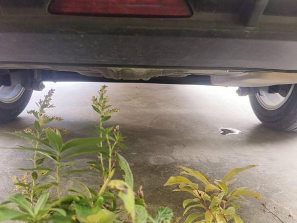 [苏州·苏U] 二手吉利汽车帝豪2021款 UP 1.5L CVT舒适型