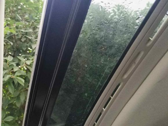 [合肥·皖A] 二手奔腾奔腾T332019款 1.6L 自动豪华型 国VI