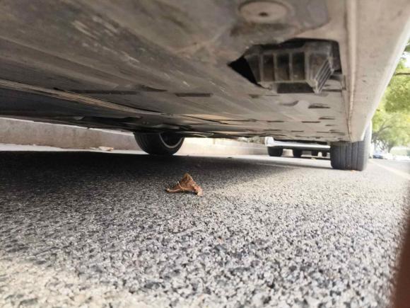 [苏州·苏E] 二手宝马宝马3系2018款 320Li 时尚型