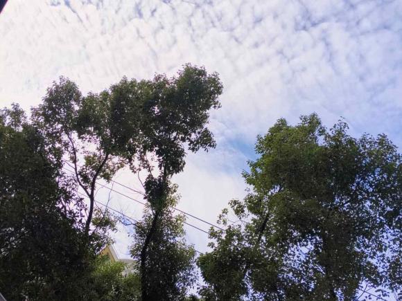 [上海·苏A] 二手林肯林肯MKC2014款 2.0T 两驱尊享版